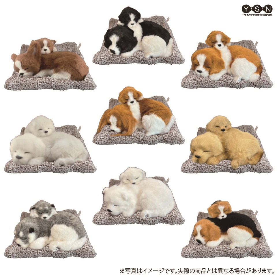 おねむりわんちゃん親子