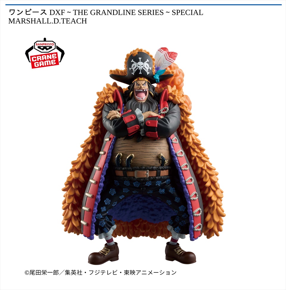 ワンピース DXF～THE GRANDLINE SERIES～SPECIAL MARSHALL.D.TEACH