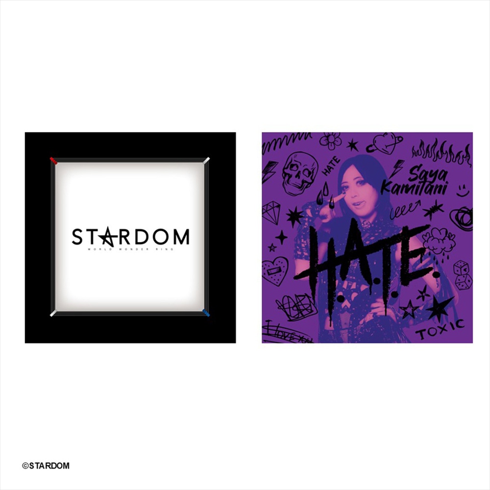 STARDOM クッション ～GiGOグループのお店限定～