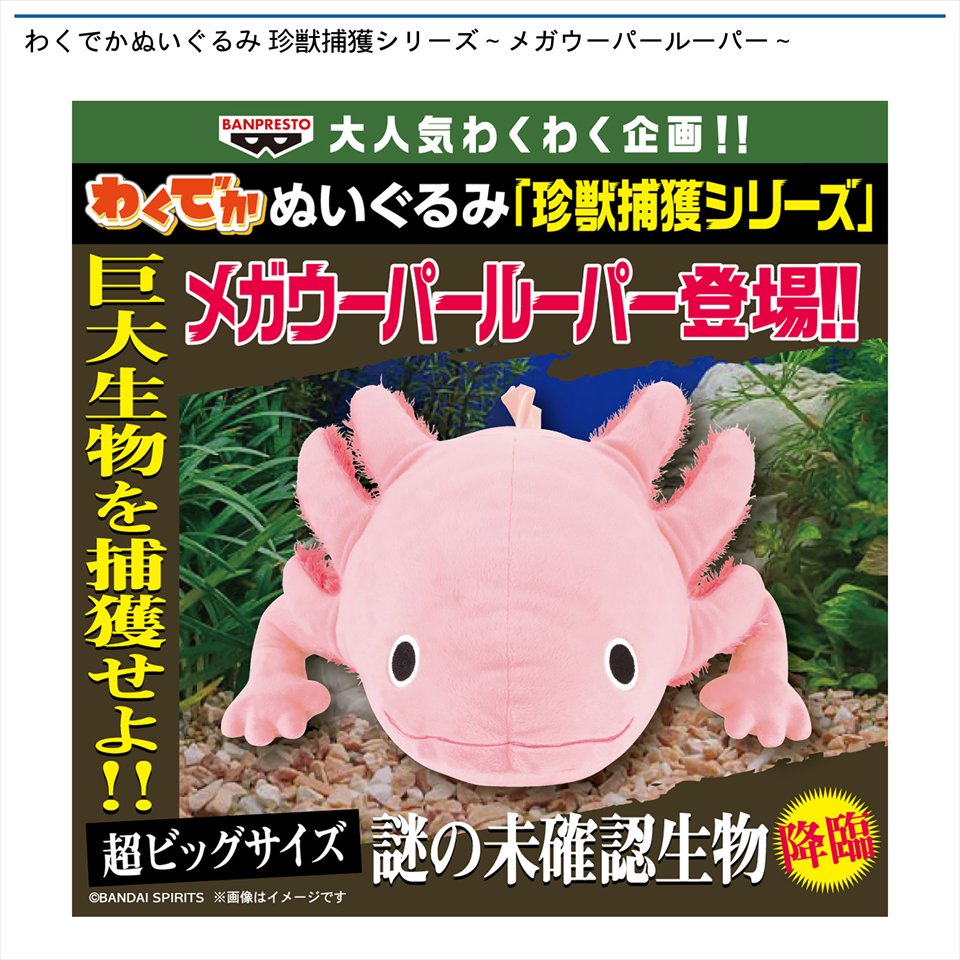 わくでかぬいぐるみ 珍獣捕獲シリーズ～メガウーパールーパー～